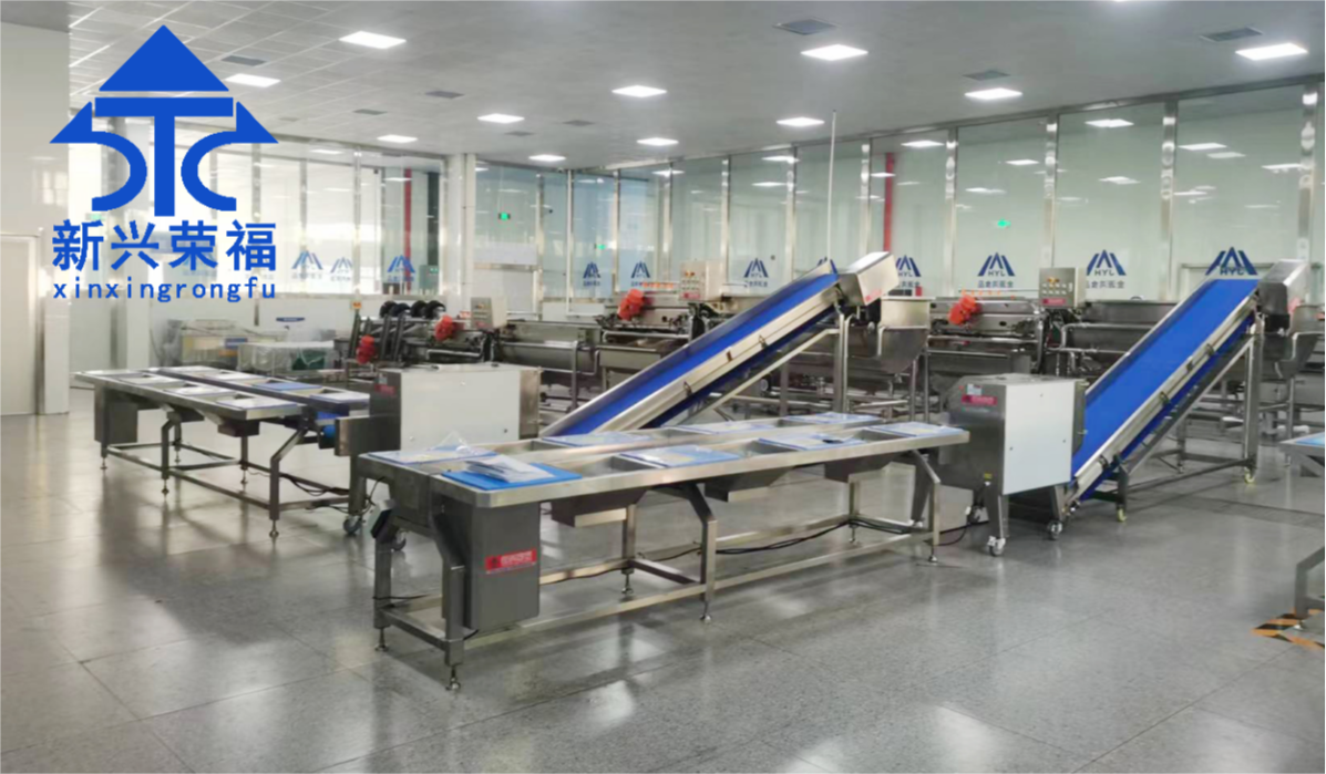 日供蔬菜20噸，新興榮福承建凈菜加工項(xiàng)目完成驗(yàn)收